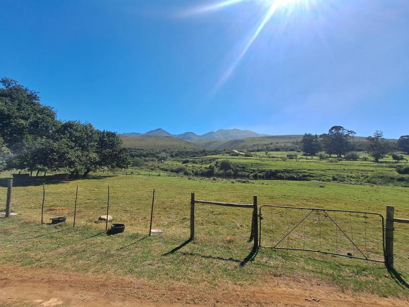 0 Bedroom Property for Sale in Kareedouw Eastern Cape